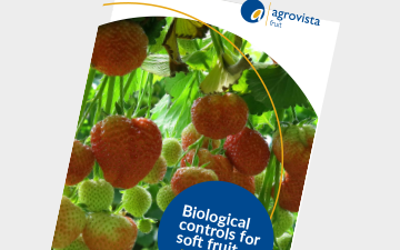 Fruit - Biological controls for soft fruit